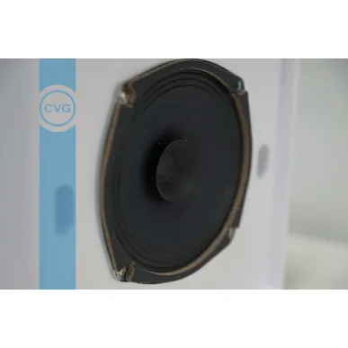 Настенная акустика CVGAUDIO WPS6T